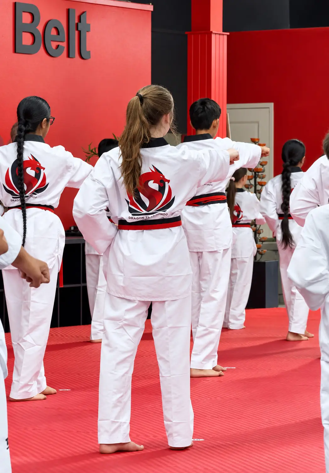 Students in Dragon Taekwondo uniforms lined up in class