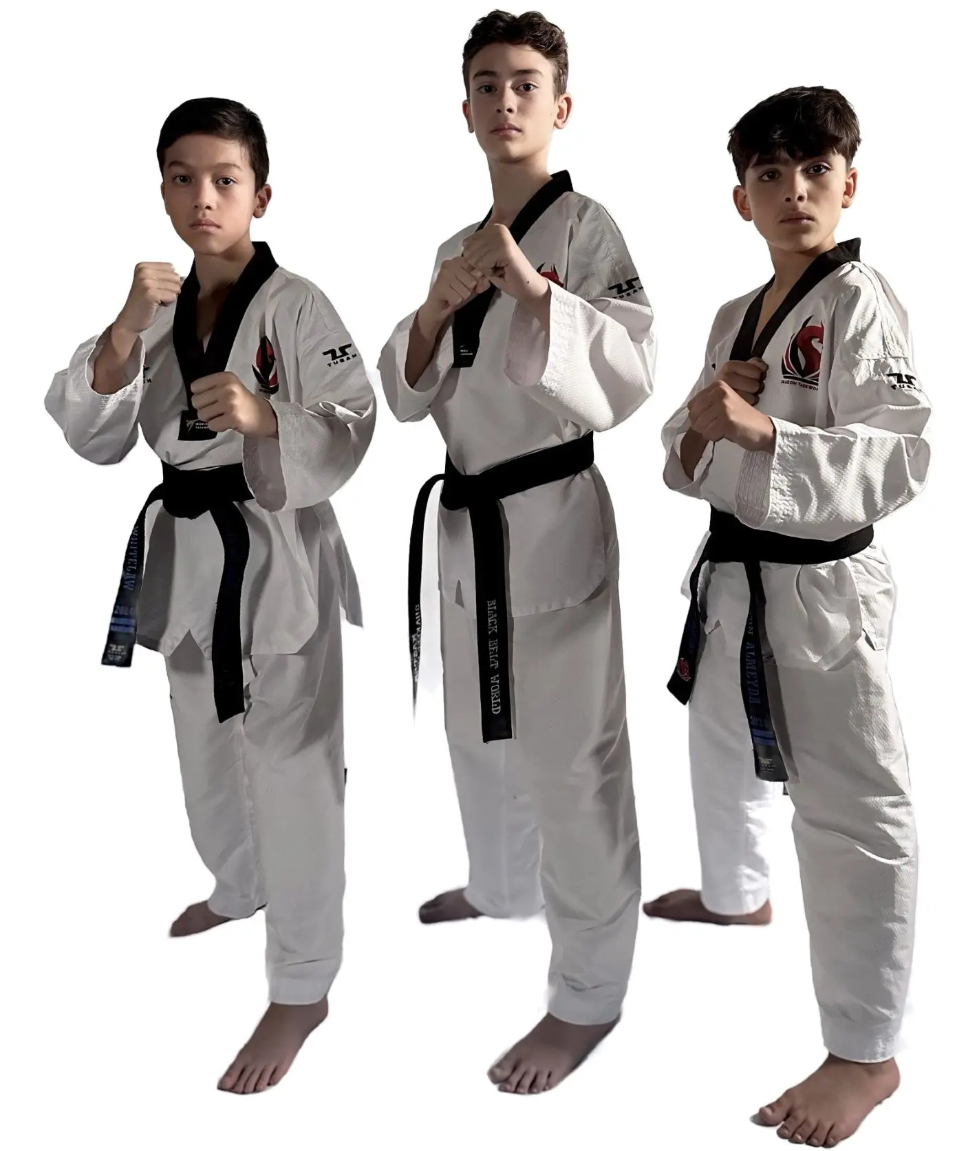 Three black belt students in a ready stance