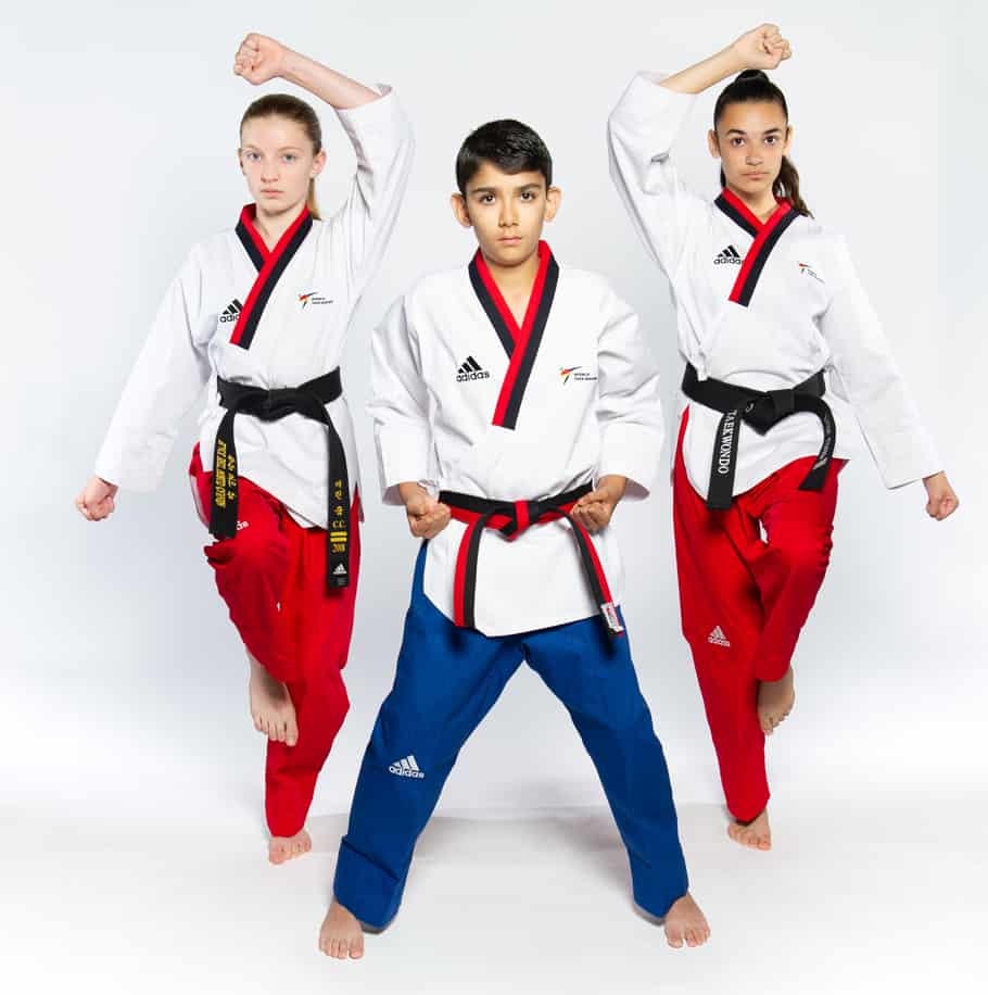 marrón Por ahí pacífico Kid's Martial Art Classes in Oakville & Milton | Children's Programs |  Dragon Taekwondo