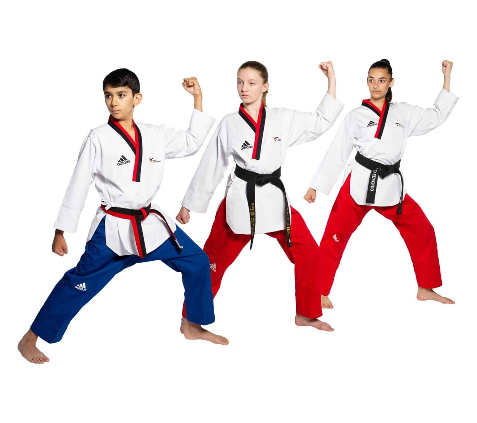 Dragon Taekwondo Academy Oakville Martial Arts, After School Programs
