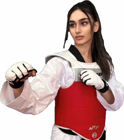 Taekwondo After School Program
